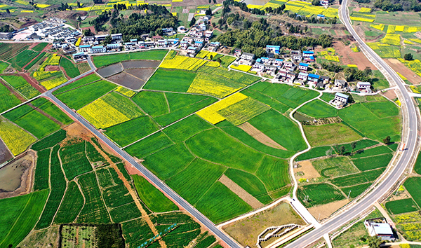 眉山仁寿:行稳致远 曙光在田堙跳跃_fororder_美丽乡村-供图-仁寿县委宣传部