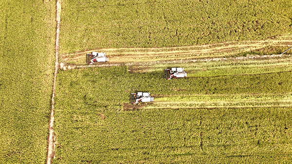 眉山仁寿:行稳致远 曙光在田堙跳跃_fororder_农业机械化-供图-仁寿县委宣传部